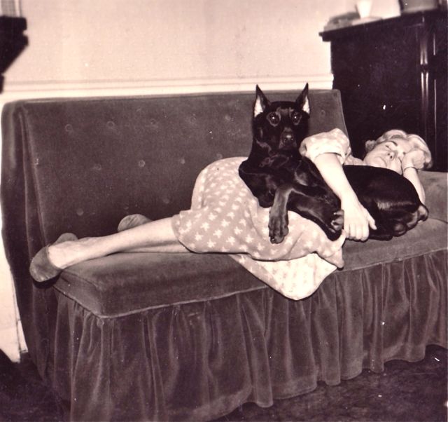 Volgens de dierenarts leed onze hond aan een chronische slaapstoornis. Maar hij kon niet uitleggen hoe dat kwam.